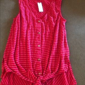 Anthropology tla top